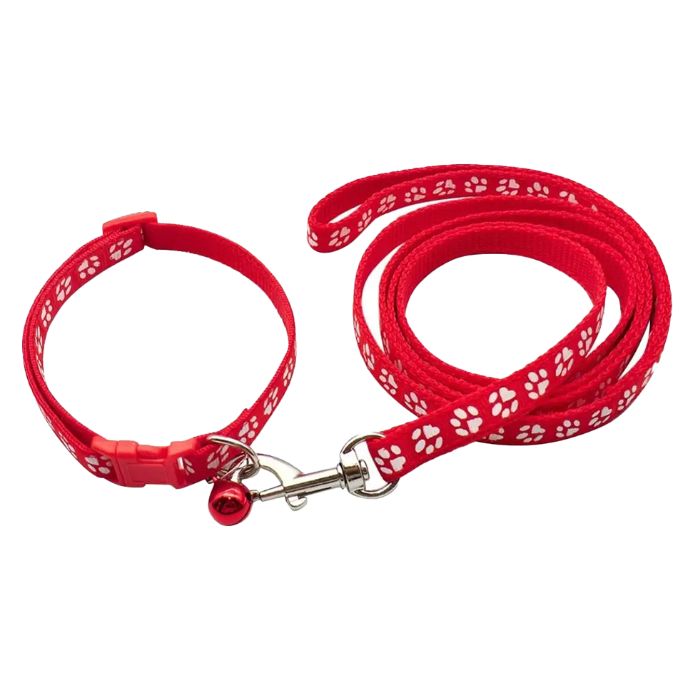 Dog Paw Print Pet Traction Rop - Headcollar Rope Set review and price