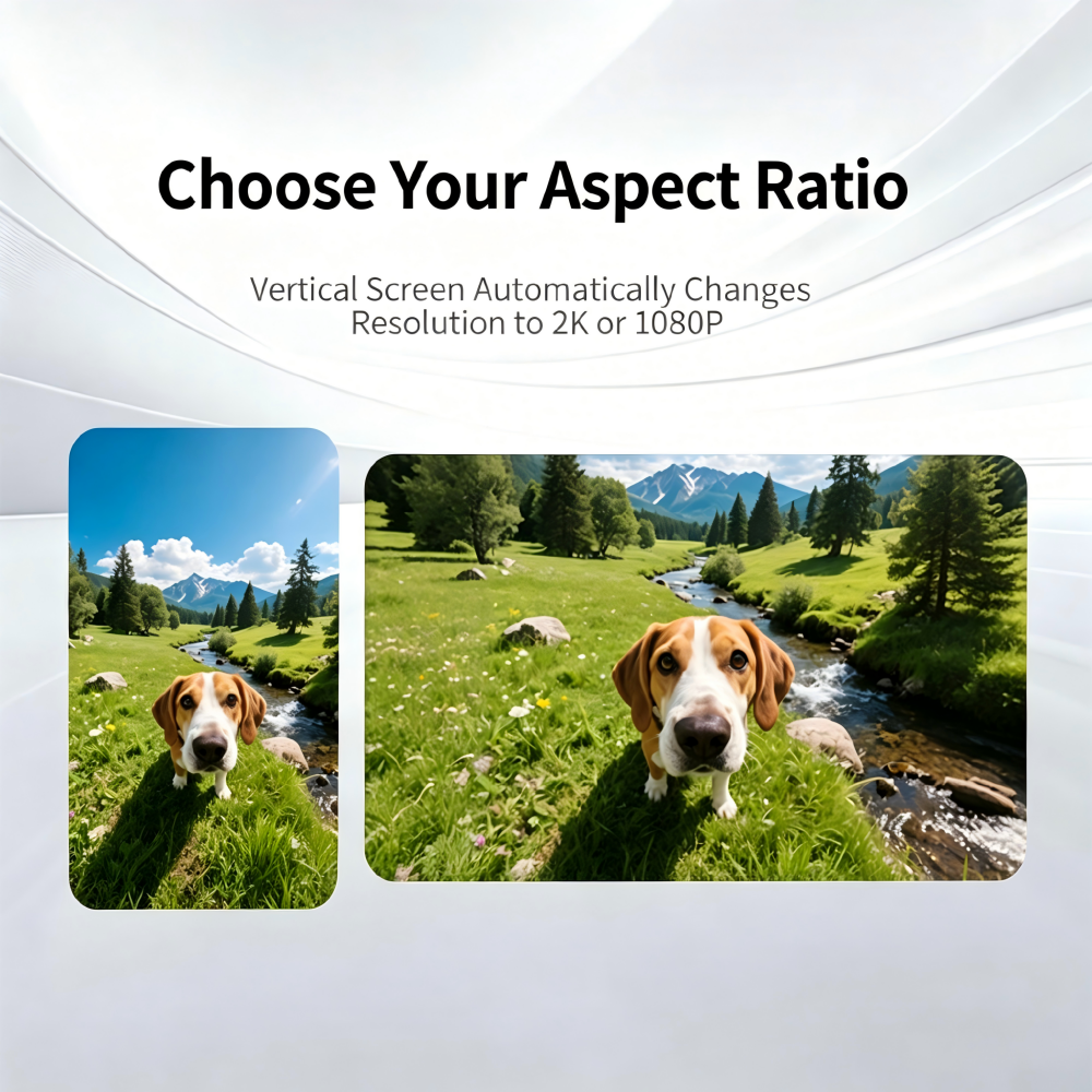 4K Action Camera for Pets vide - Indoor Sport And Outdoor Sports review and price
