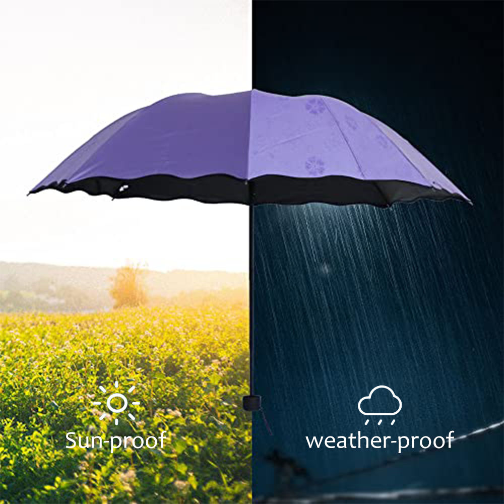 Magic Folding Umbrella with Ra - Outdoor Sports Umbrella review and price